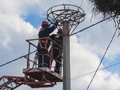Белгородские энергетики помогают аистам обезопасить свои гнезда