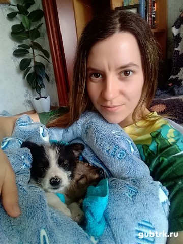 «Дом с хвостом» в Губкине активно помогает нашим четвероногим друзьям