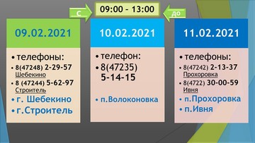Управление Росреестра по Белгородской области проводит цикл «горячих линий» в феврале 2021 года