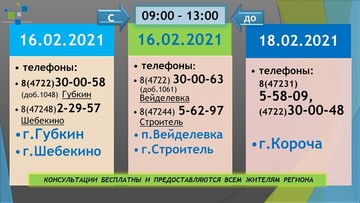 Управление Росреестра по Белгородской области проводит цикл «горячих линий» в феврале 2021 года