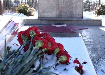 В Губкине отметили День защитника Отечества