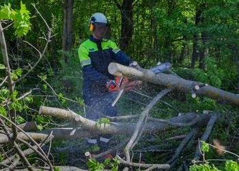 Белгородэнерго готовит энергообъекты к безопасной работе  в пожароопасный период
