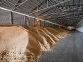Белгородэнерго: половина заявок на технологическое присоединение в агропромышленном комплексе приходится на крестьянские фермерские хозяйства