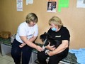 Зооволонтёр «Дома с хвостом» Татьяна Блинова выиграла грант от Металлоинвеста