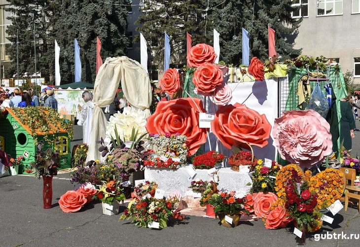 Выставка цветов в Губкине состоится 4 сентября