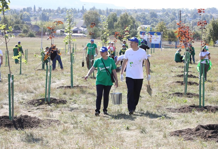 Металлоинвест поддержал всероссийскую акцию «Сохраним лес»