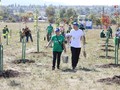 Металлоинвест поддержал всероссийскую акцию «Сохраним лес»