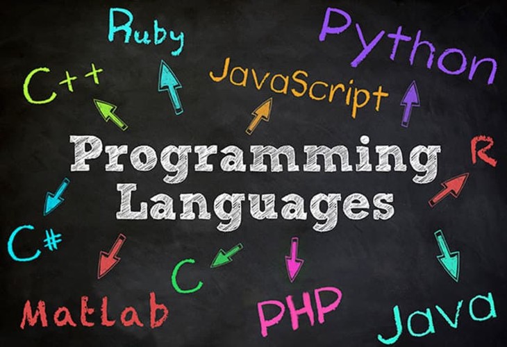 В октябре школьники Белгородской области начнут изучать языки программирования