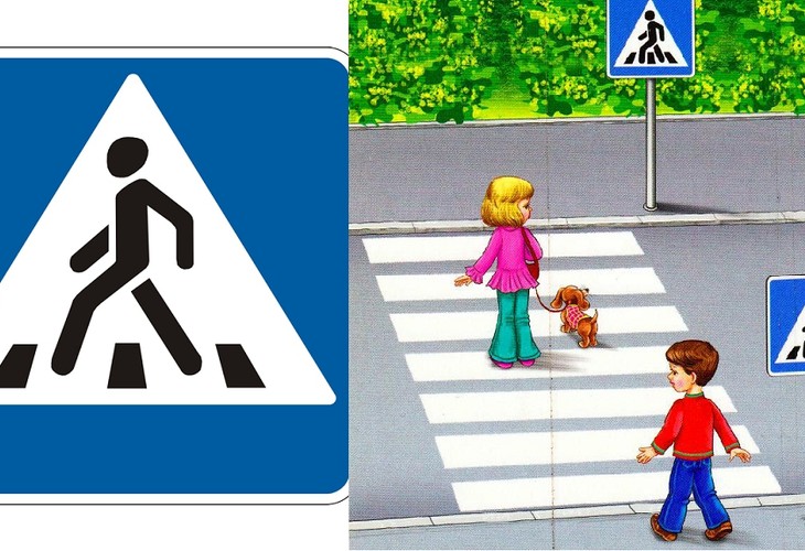 В Губкине более 1700 водителей привлечены к ответственности за непредоставление преимущества пешеходам