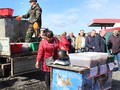 В субботу 4300 человек посетили муниципальную ярмарку в Губкине