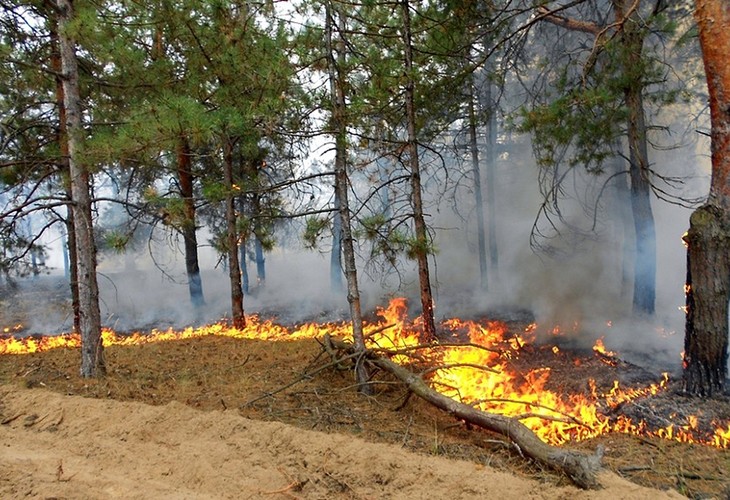 Жителям Губкина напомнили правила противопожарной безопасности