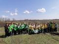 В Губкинском горокруге продолжают акцию «Сад памяти»