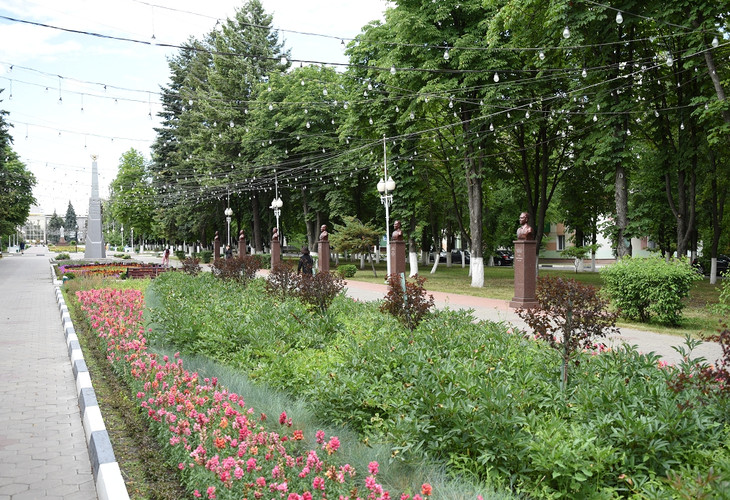 В Губкине реализуют новый проект по озеленению