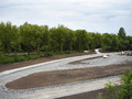 Проект благоустройства долины ручья Тёплый Колодезь в Губкине приобретает реальные очертания