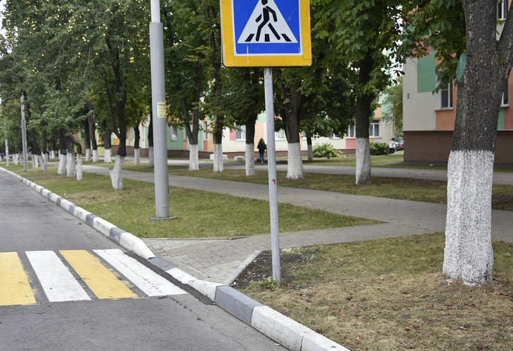 Доступная среда для всех: в Губкине на пешеходных переходах появятся новые сходы