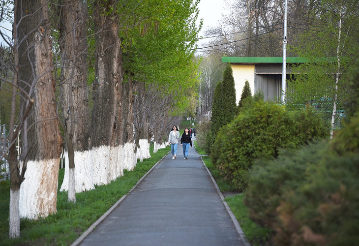 Парк культуры и отдыха по улице Скворцова в Губкине ждёт реновация
