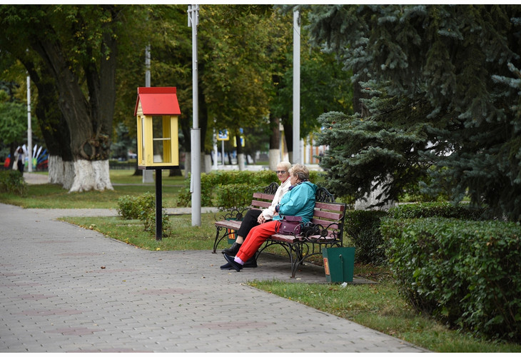 Какие новые законы ждут губкинцев в ноябре