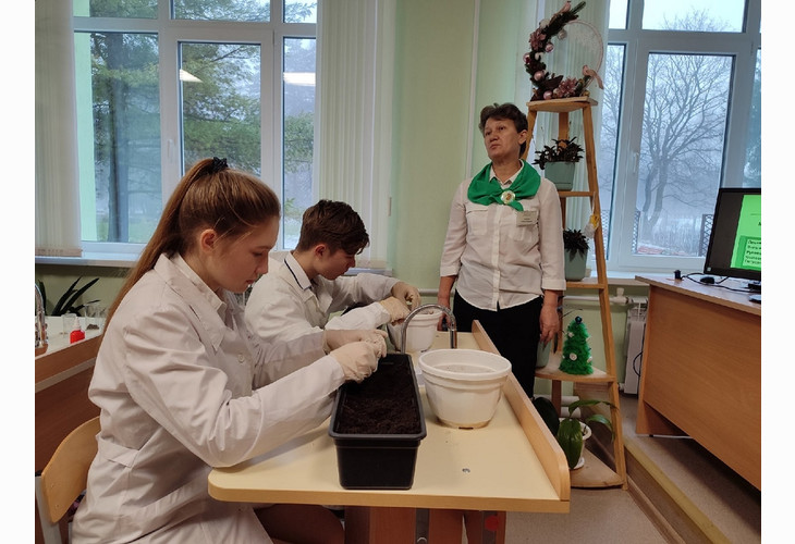 Губкинская школа – призёр регионального конкурса