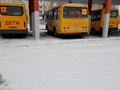 Школы Губкина получили новые автобусы