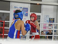 В Губкине состоялся турнир по боксу «Zа Победу!»