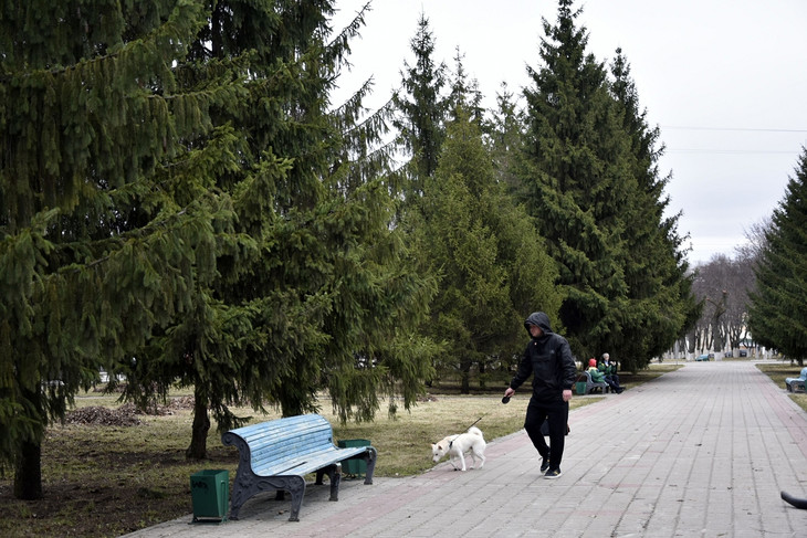 В сквере Губкина проводят обрезку деревьев