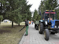 В сквере Губкина проводят обрезку деревьев