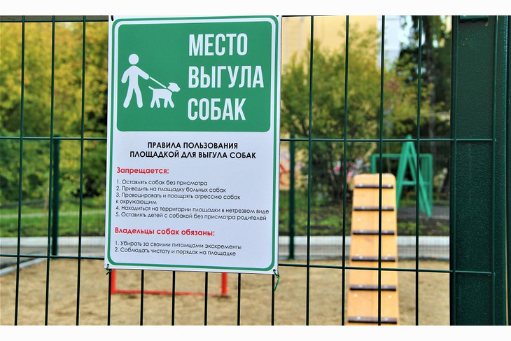 Вячеслав Гладков поручил решить задачу по строительству площадок для выгула собак в Губкине