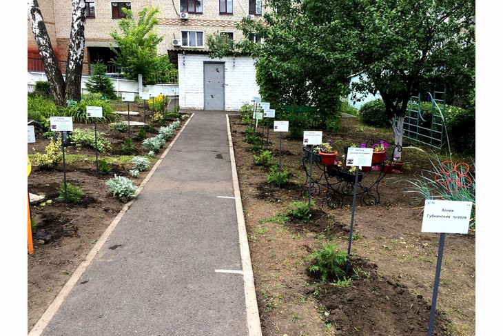 В Губкине появилась Аллея губкинских поэтов