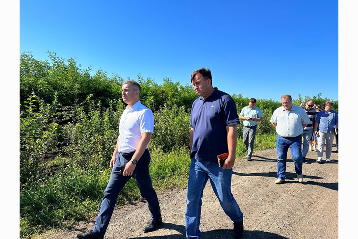 Михаил Лобазнов рассказал о концепции озеленения Губкина