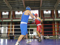 В Губкине проходит турнир по боксу «Zа победу», посвящённый участникам СВО