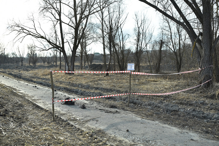 В Губкине в этом году приступили к реализации благоустройства второго этапа городского пляжа