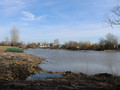 В селе Евгеньевке Губкинского городского округа приступили к очистке водоёма