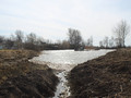 В селе Евгеньевке Губкинского городского округа приступили к очистке водоёма