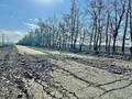 Участок автодороги «Сергиевка – Сапрыкино – Копцево» в Губкине будет восстановлен