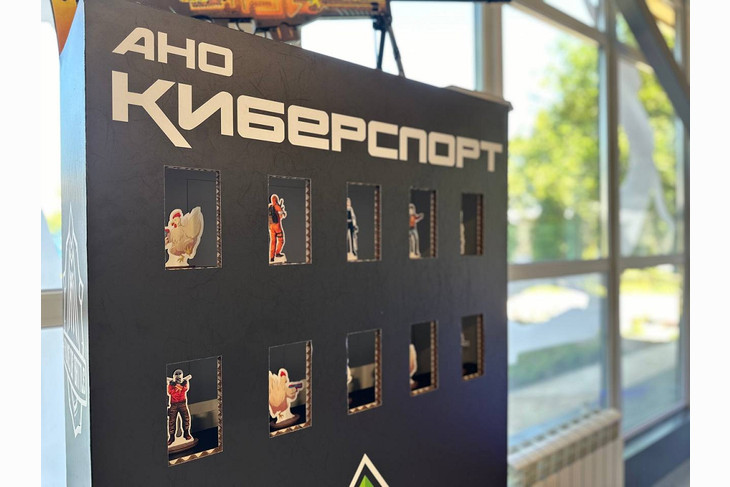 I инклюзивный фестиваль Белгородской области по фиджитал спорту прошёл в Губкине