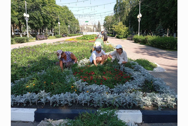 В Губкине продолжается временное трудоустройство несовершеннолетних на период летних каникул