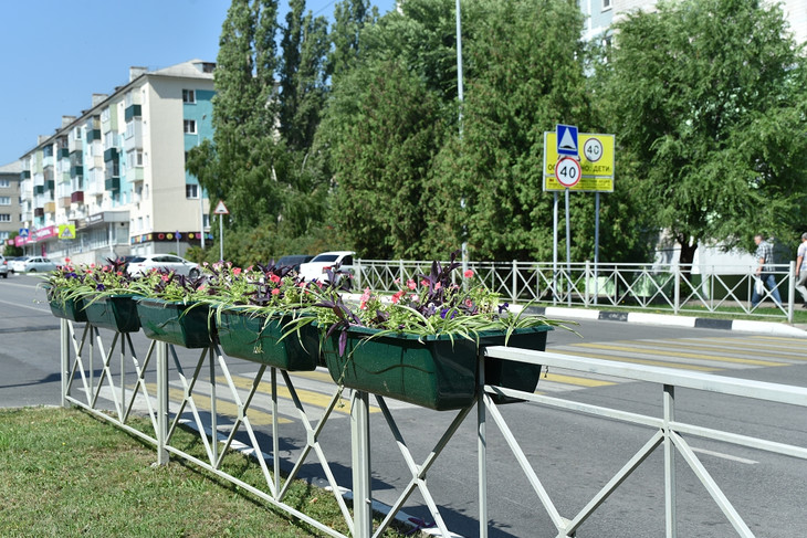 Губкин становится ещё красивее и зеленее
