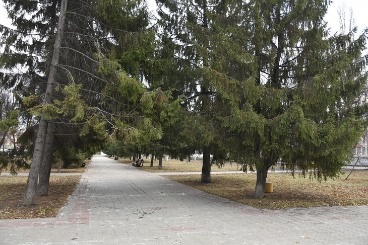 В Губкине продолжит своё преображение сквер на Лазарева