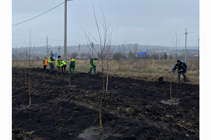 В Губкине продолжается масштабная кампания по благоустройству и озеленению
