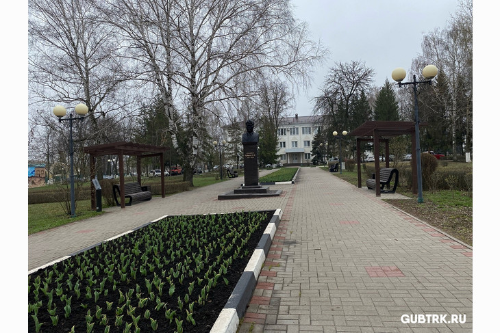 Весна в Губкине: 40 тысяч тюльпанов распустятся к майским праздникам