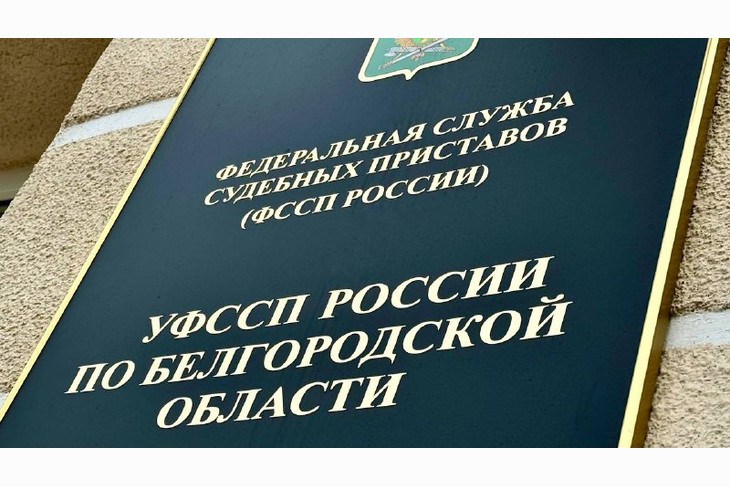 Заместитель главного судебного пристава Белгородской области проведёт приём в Губкине