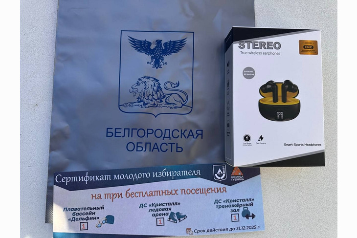 1590 губкинских юношей и девушек впервые участвуют в выборах