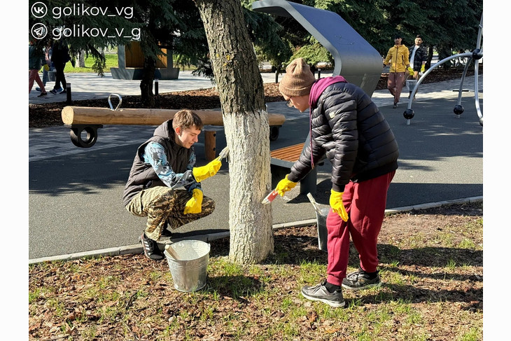 В Губкине в рамках месячника служению Белгородской области побелили деревья и обновили бордюры