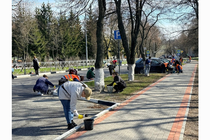 В Губкине в рамках месячника служению Белгородской области побелили деревья и обновили бордюры