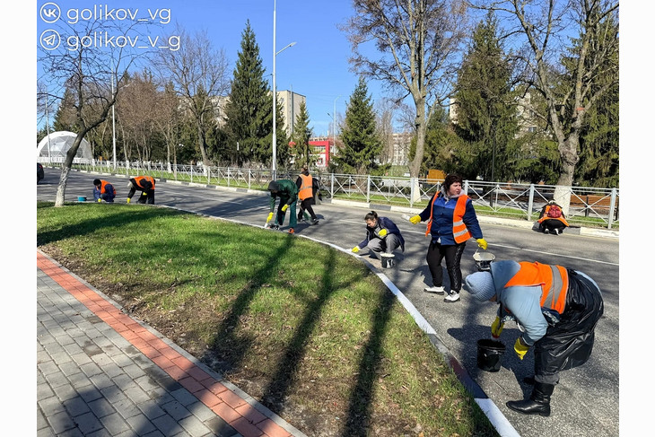 В Губкине в рамках месячника служению Белгородской области побелили деревья и обновили бордюры