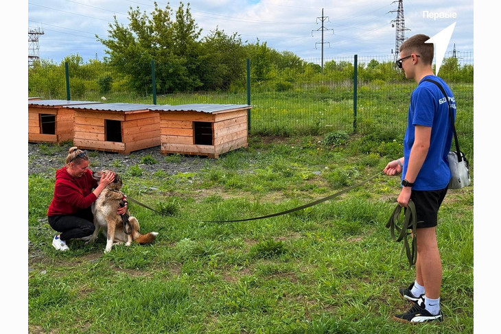 Первые из Губкина поделились своей любовью с «хвостиками» в приюте для животных