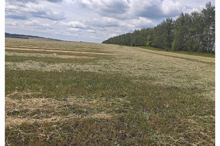 В Губкинском округе завершена посевная кампания