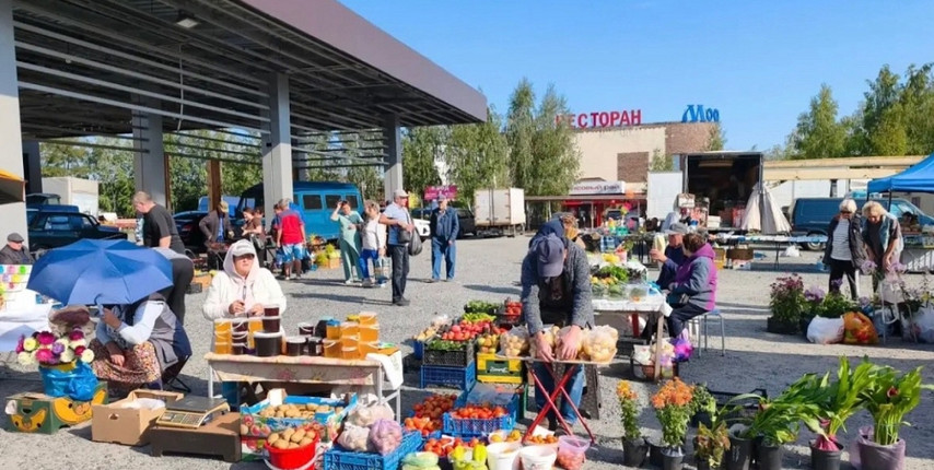 В Губкине прошла еженедельная сельскохозяйственная ярмарка