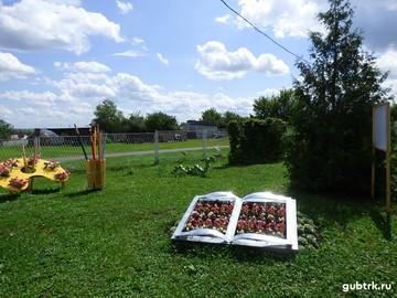 Представляем еще одного участника областного конкурса по благоустройству – Коньшинскую школу