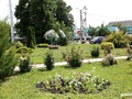 В Белгородэнерго подведены итоги экоконкурса «Зеленый РЭС»